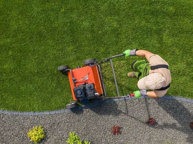 Caring for Your Lawn in the Winter