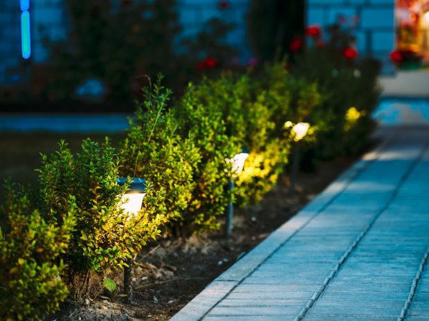 How to Transform Your Garden with Outdoor Lighting