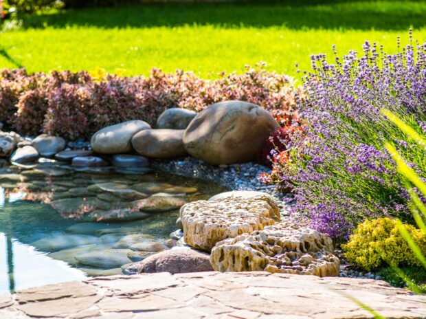 Should I Add a Pond to My Landscaping? 