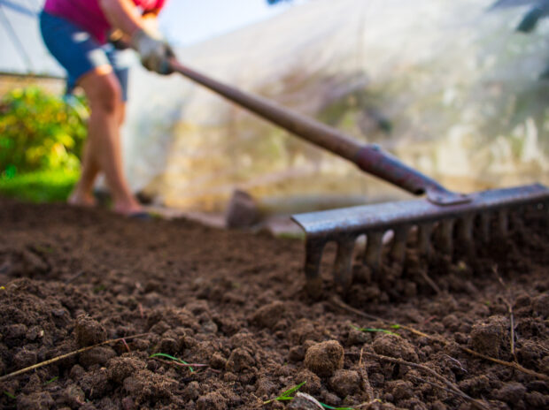 How Do I Prepare My Soil for Planting?