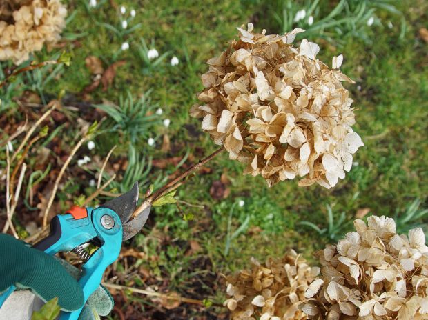 How Do I Protect My Landscaping in the Winter?