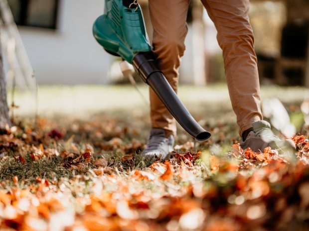 What Are the Biggest Threats to Your Landscaping in the Fall?