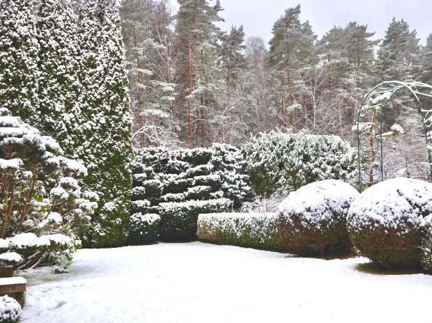 Is Winter Hurting Your Landscape More Than You Think?
