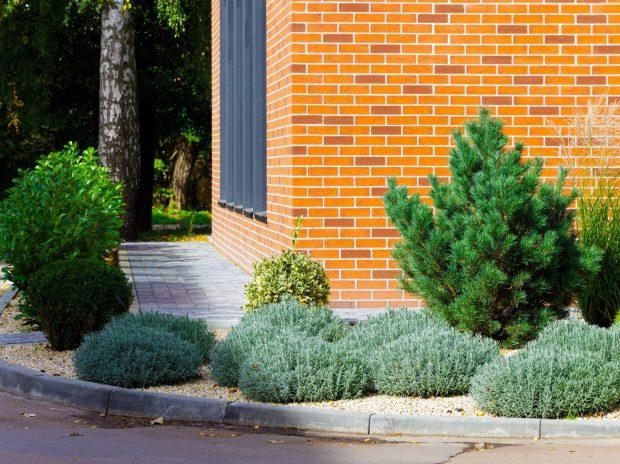 What’s the Smartest Way to Landscape a Small Commercial Lot?