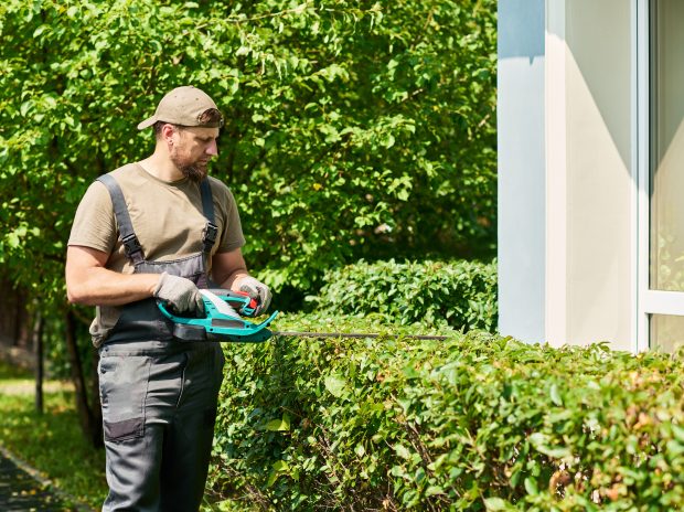 Why Is Professional Grounds Maintenance Important?