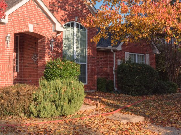 Why Should You Schedule Fall Cleanup Before the First Frost?